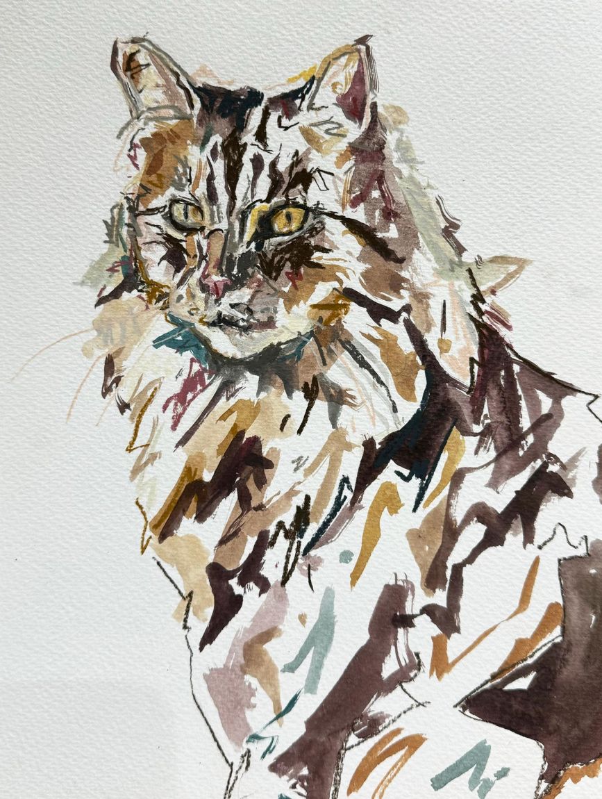 Carol and Bruce’s Cat - Ink, pencil on paper