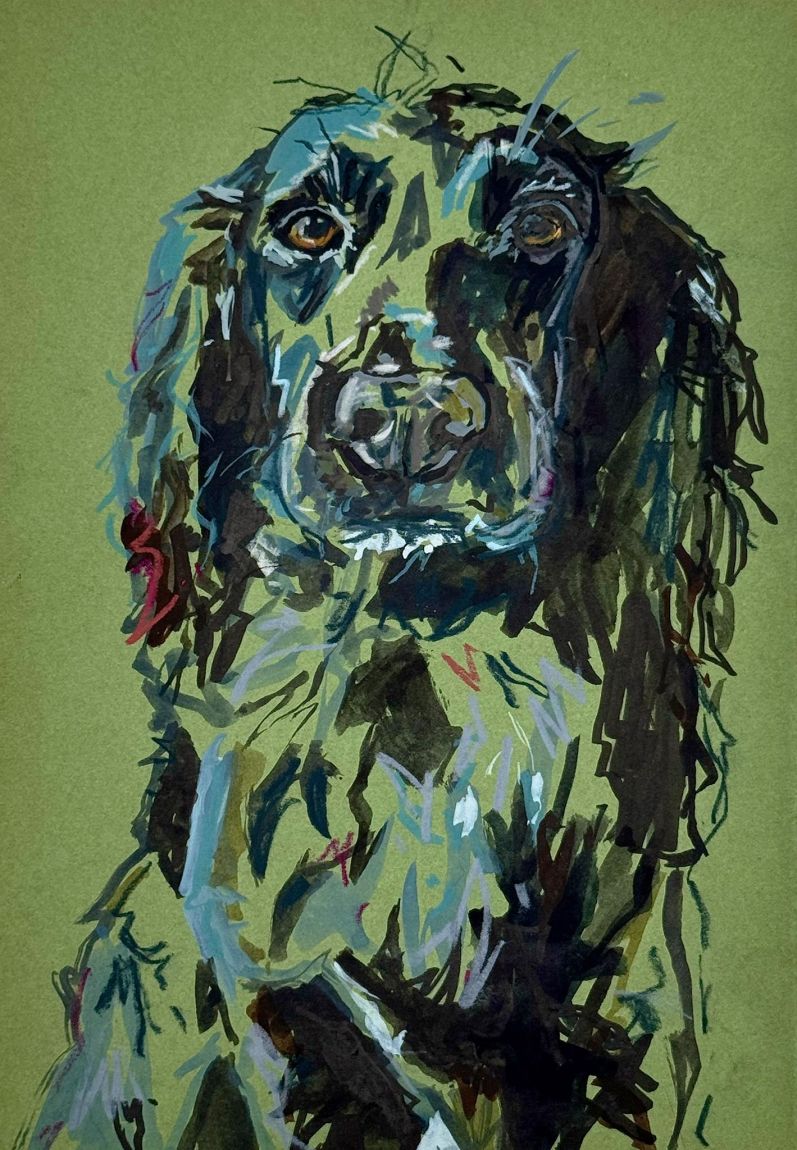 Belle - Ink, pen and pencil on paper